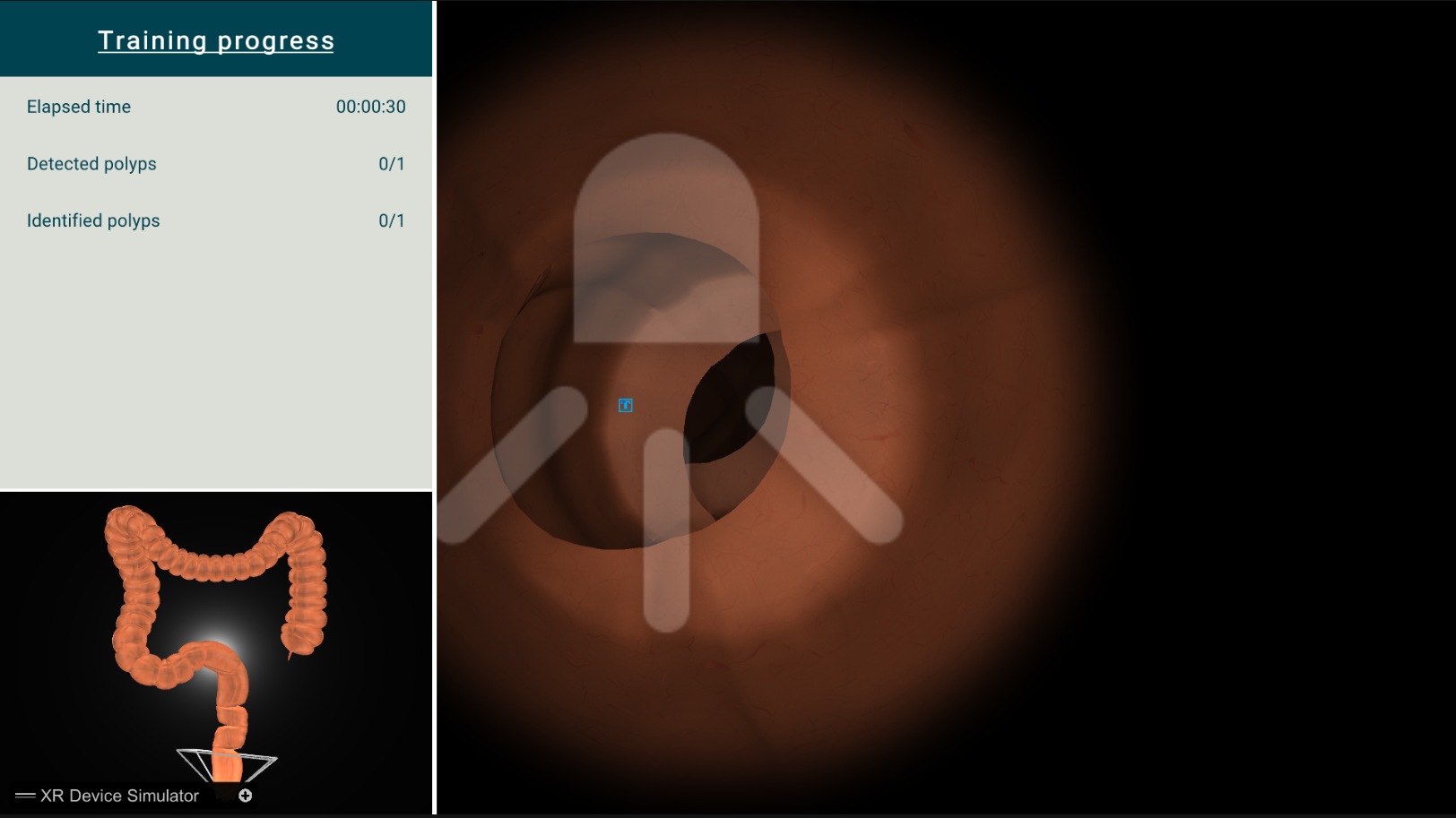 Desktop polyp training view, v2.0