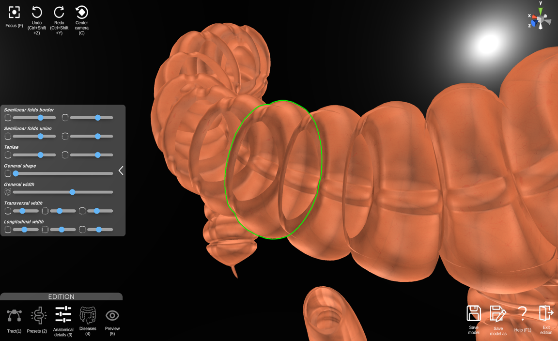 Desktop model editor, anatomical details, v2.0