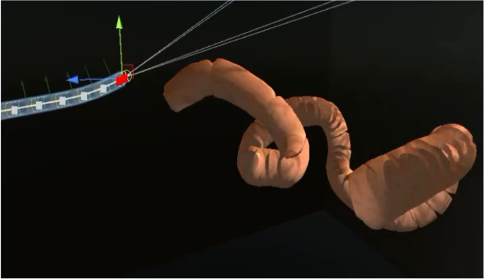 Flexible endoscope simulations