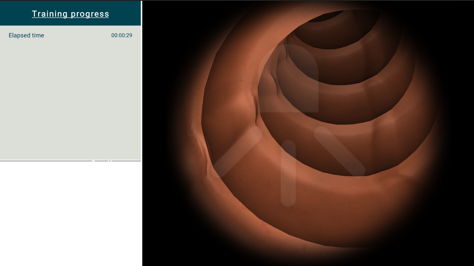 Desktop training view, v2.0